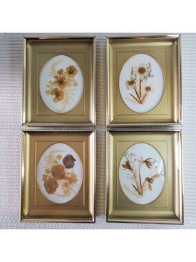 4 Shrog Dried Pressed Flowers 6x4.5 Glass Metal Frame Vintage England Handmade